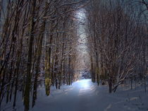 winterways by bibi03