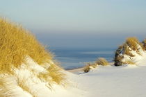 Sylt im Winter von laakepics