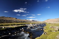 Changtang Hochebene in Ladakh von Thomas Mick