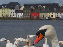 The Claddagh by Thomas Mick