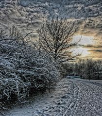 Harter Winter von artpic