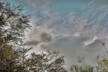 die Wolken by artpic