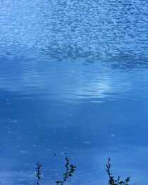 Blue Water - 1 von barbaram