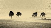 Four Trees by barbaram