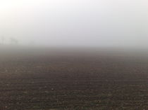 Acker im Nebel