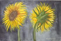 Sonnenblumen von Silvia Krog