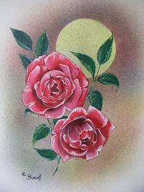 Rosen im Licht von Ernst Burak