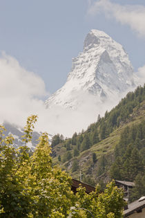 Matterhorn im Frühling von Christine Amstutz