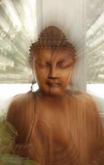 Enlightened Buddha von Christine Amstutz