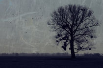 Der Baum  by Falko Follert