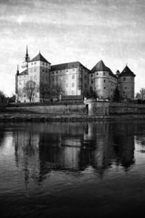 Schloss Hartenfels by Falko Follert