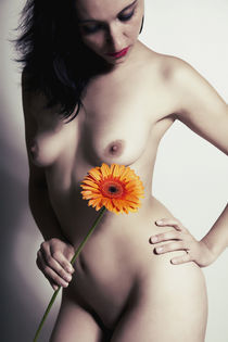 Mein Leben und die Blume by Falko Follert