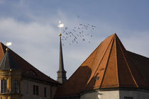 Tauben Flug ueber den Schloss Hartenfels Torgau von Falko Follert