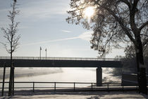 Elbe Bruecke im Winter  by Falko Follert