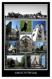 Torgau Postkarte by Falko Follert