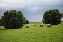 Landschaftsbilder Strohballen auf den Elbwiesen von Falko Follert