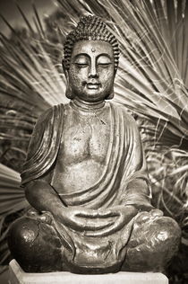 Buddha grau by kmfoto