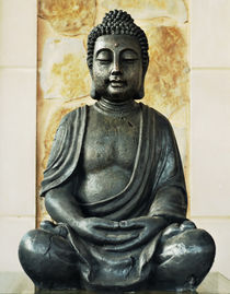 Buddha nature von kmfoto