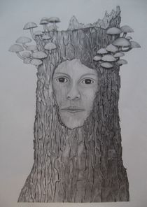 Gesicht im  Baumstumpf by Angelika Wegner
