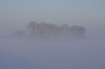Nebel by Tanja Riedel
