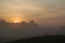 Sonne im Nebel by julita