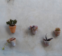 Topfblumen an der Wand by julita