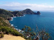 Neuseelands Küste - Coromandel Peninsula von Mareia Claudia Lange