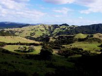 Neuseelands Hügel von Mareia Claudia Lange
