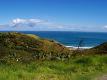Wolkenente an Neuseelands Küste by Mareia Claudia Lange