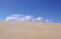 Neuseeland - Giant Te Paki Sand Dune  by Mareia Claudia Lange