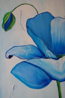 Blaue Mohnblume von Cornelia Migge