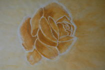 Rose by Cornelia Migge
