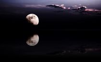 Moonlight by Stefan Kuhn