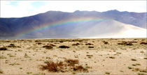 Desert Rainbow von Michael Guzei