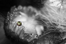 My secret crystal ball... von Mandy Tabatt