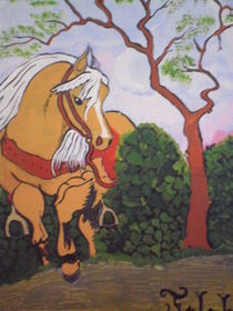 Pferd by michael kerber
