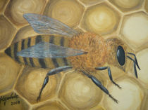 Honigbiene by Jürg Meyerholz