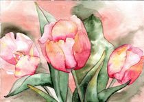 Tulpen by Cornelia Scheer