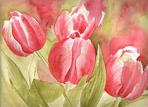 Tulpen I by Cornelia Scheer