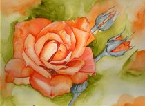 Rose in Orange von Cornelia Scheer
