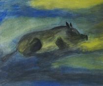 Schlafendes Wildschwein by kattobello