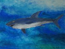 Haifisch by kattobello