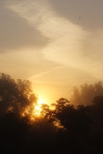 Die Sonne besiegt den Morgennebel by inti
