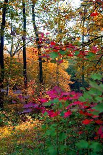 Der Herbst - Ein Maler by inti