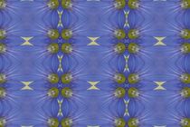 Muster  hellblau by inti