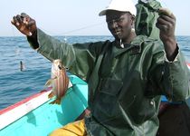 Handleiner - Kayar, Senegal - fair-fish.net von Billo Heinzpeter Studer