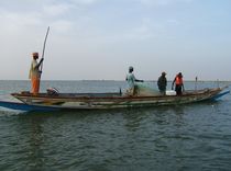 Netz einholen - Saloum, Senegal - fair-fish.net von Billo Heinzpeter Studer
