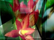 Blumen im Glasdesign von Cornelia Greinke