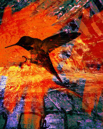 freebird by Bernhard Kosten