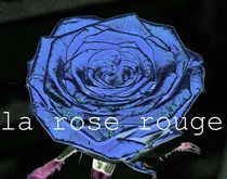 La rose rouge,  by Gabriele Klimek